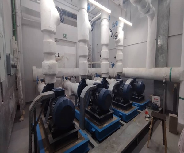 WhatsApp Image 2026-01-21 at 4.10.47 PM