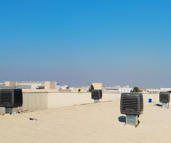 WhatsApp Image 2026-01-28 at 11.50.51 AM